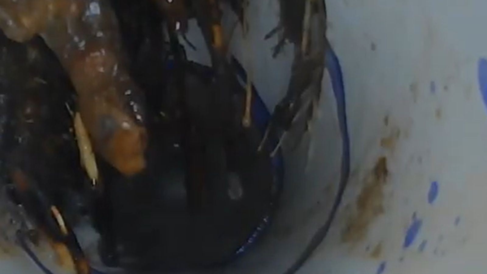 Sewer camera inspection showing root intrusion in Denton, TX